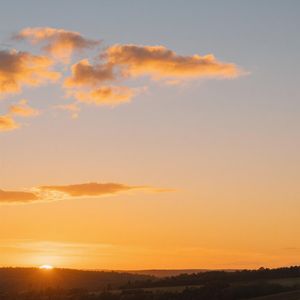 秋水盈盈映心海