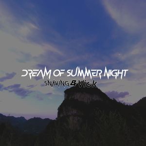 Dream Of Summer Night (Original Mix)