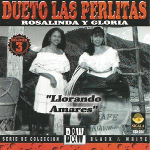 Vuelve Gaviota