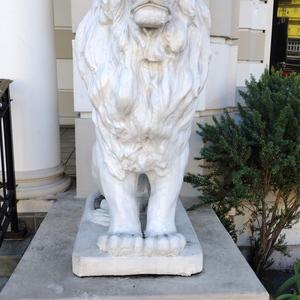 Illuminati In Shanyka's Body