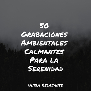 Anochecer En La Distancia