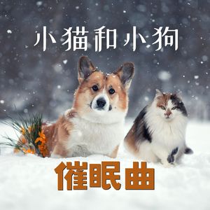 平静的音乐