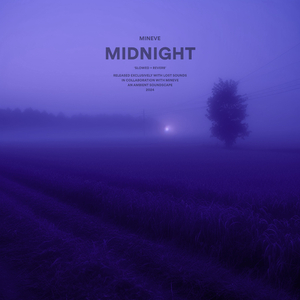 midnight (slowed + reverb)