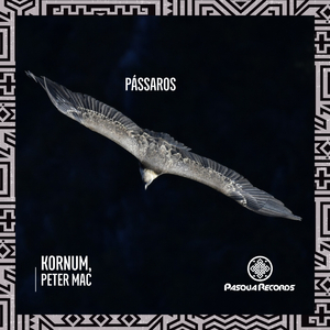 Pássaros (Original Mix)