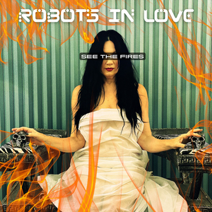 See the Fires (radio edit)