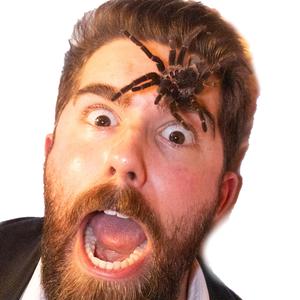 Giant Enemy Spider
