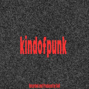 kindofpunk