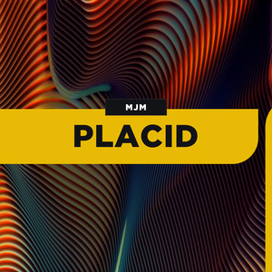 Placid (Darragh Casey Remix)