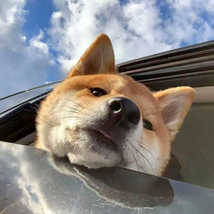 20220424_144022_0.wav