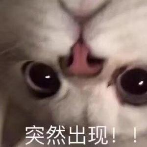 你的酒馆对我打了烊