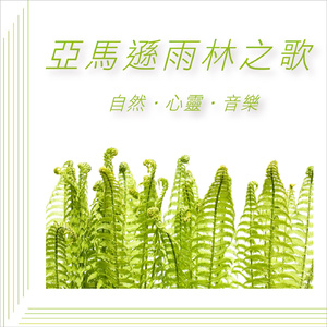 亚马逊雨林之歌