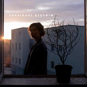 Saksıdaki Çiçeğim