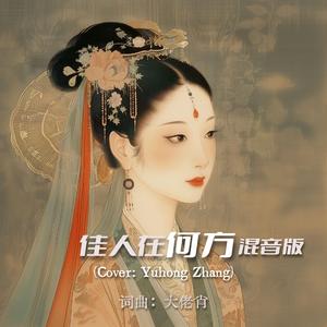 佳人在何方(混音版)