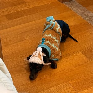 《第二人称》20260309.mp3