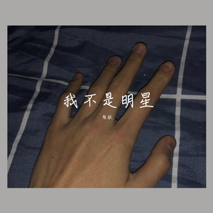 我不是明星Demo