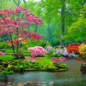 Dreams of Beauty Balance