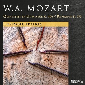 Quintette à cordes en Ut Mineur, K. 406: I. Allegro
