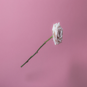 Bandoleiro Flex (Tribute Costa Titch)