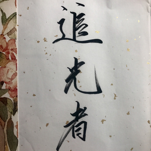 追光者（Cover 岑宁儿）