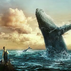Whale Cry