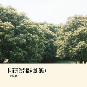 桂花开放幸福来(摇滚版)