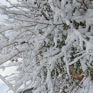 不爱我就放开手