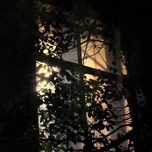 1% feat.Azrael Devilnotears