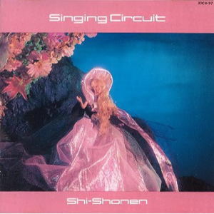 N-S マグネティック