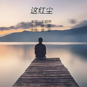 这红尘 (DJ阿能版)