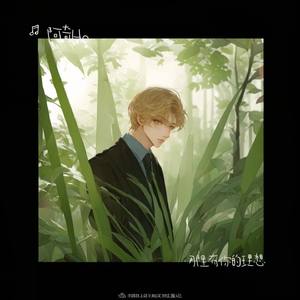 十二月的奇迹 (深情版)