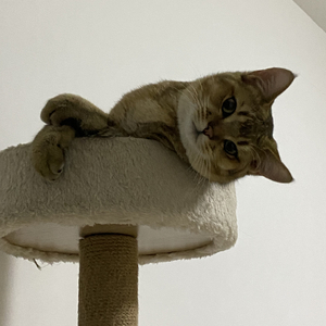 这一切没有想象的那么糟