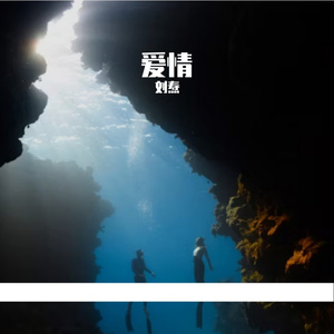 北梦木兮的古韵幻梦