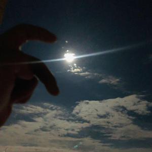 飘向北方（抖音片段）