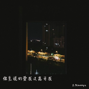 你先说的爱我又离开我（伴奏）