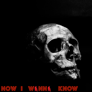 Now I Wanna Know