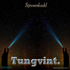 Stjerneskudd
