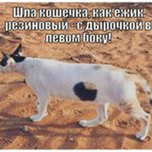 tegop