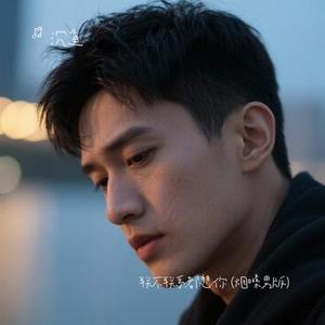 联不联系都想你   (Cover 张良)