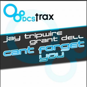 Can't Forget You (Main Mix)