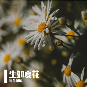 独一无二的灵魂