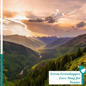 Melody of Lizard Chorus