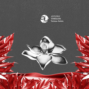 True Soul (Original Mix)