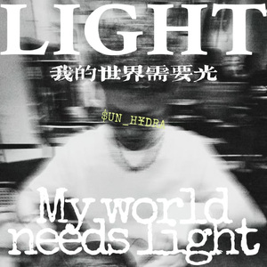 我的世界需要光
