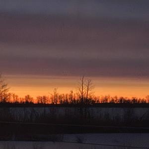 The King Of The Cowboys