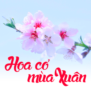 Con Bướm Xuân