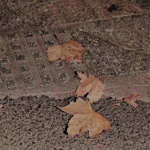 随笔 (Prod By ATTBEAT)