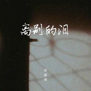 离别的泪 (DJAh版)