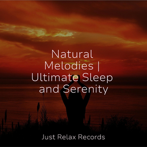 Tranquil Interlude of Stillness