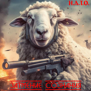 Н. А. Т. О.