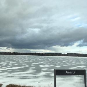 Nästa Gnesta